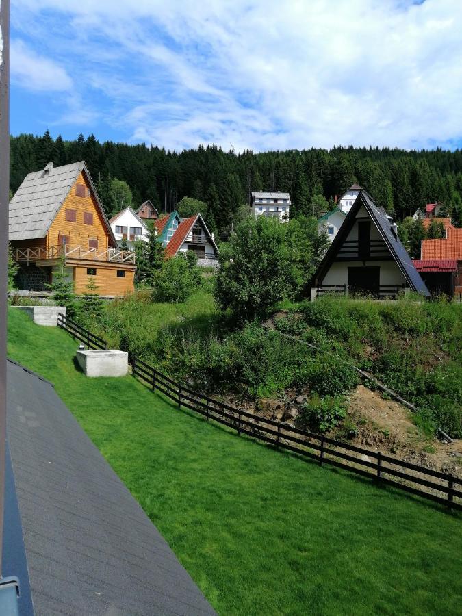 Vila Irina Kopaonik - Apartman Jovana Kültér fotó