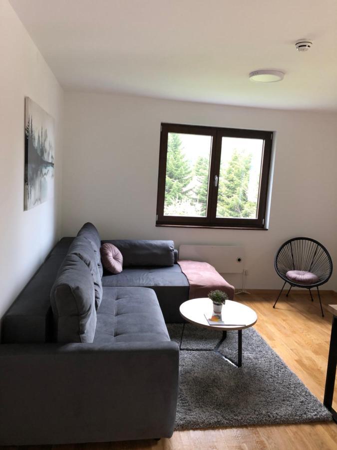 Vila Irina Kopaonik - Apartman Jovana Kültér fotó