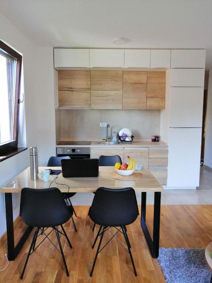 Vila Irina Kopaonik - Apartman Jovana Kültér fotó