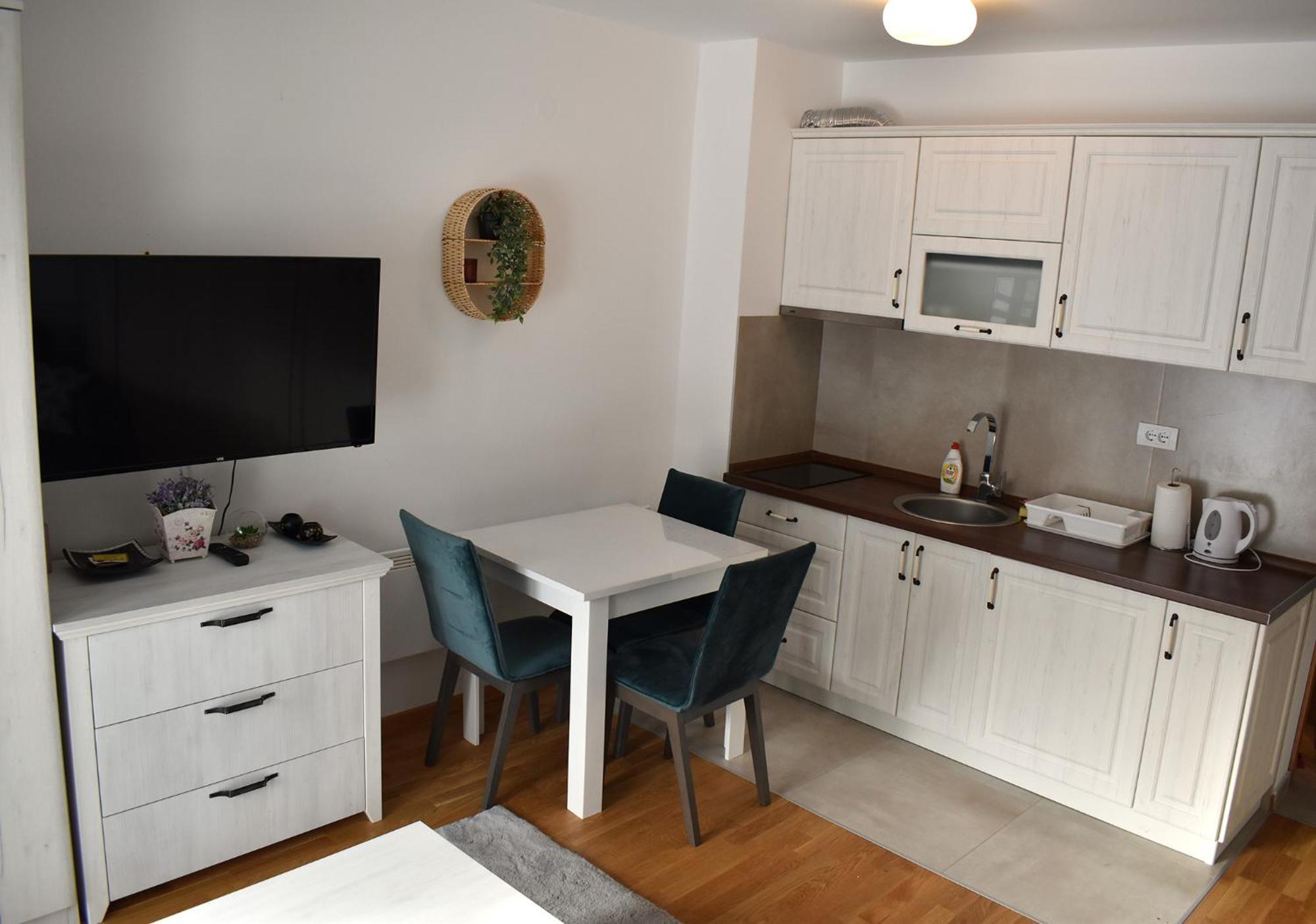 Vila Irina Kopaonik - Apartman Jovana Kültér fotó